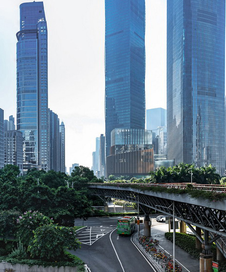 多个新高！2025年外汇市场保持韧性与活力